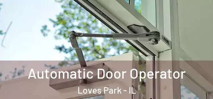 Automatic Door Operator Loves Park - IL