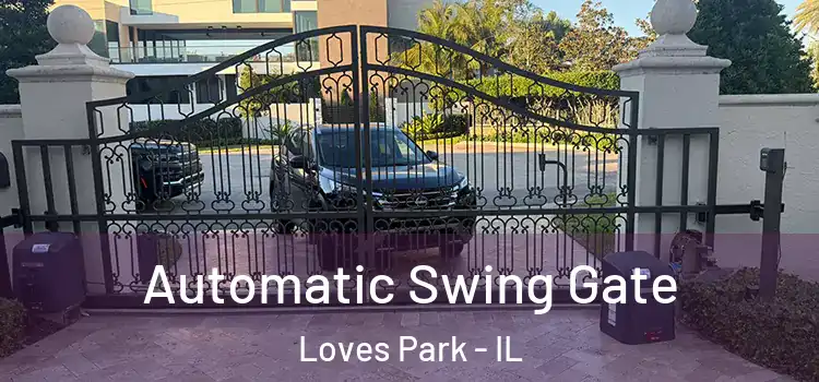 Automatic Swing Gate Loves Park - IL