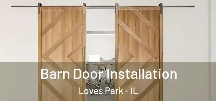  Barn Door Installation Loves Park - IL