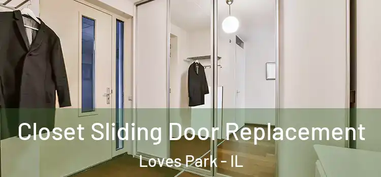 Closet Sliding Door Replacement Loves Park - IL