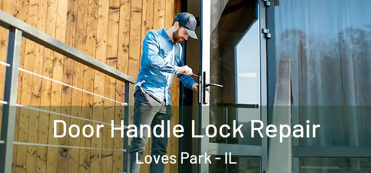 Door Handle Lock Repair Loves Park - IL