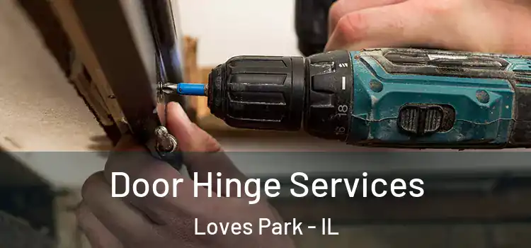 Door Hinge Services Loves Park - IL