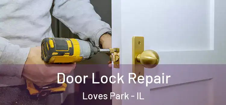  Door Lock Repair Loves Park - IL