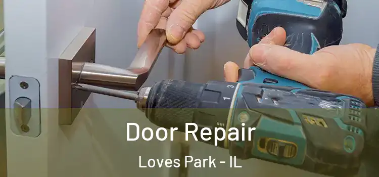  Door Repair Loves Park - IL