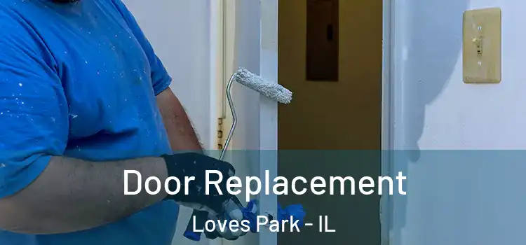 Door Replacement Loves Park - IL