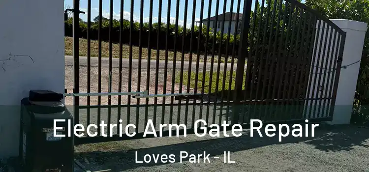 Electric Arm Gate Repair Loves Park - IL