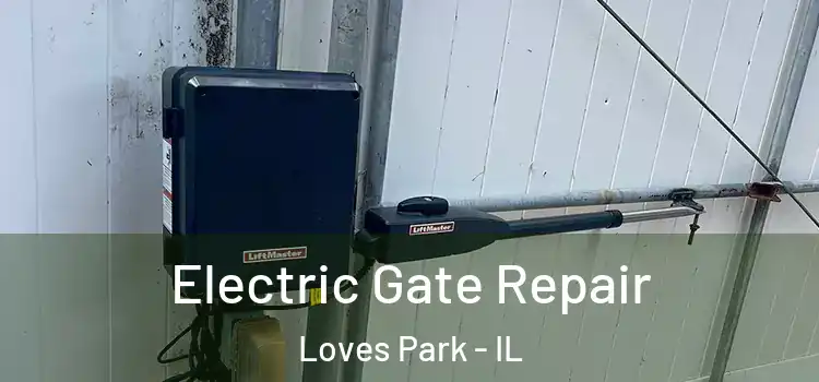  Electric Gate Repair Loves Park - IL
