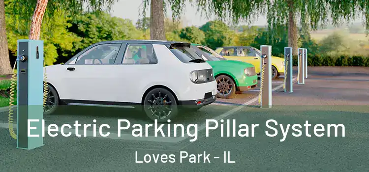 Electric Parking Pillar System Loves Park - IL