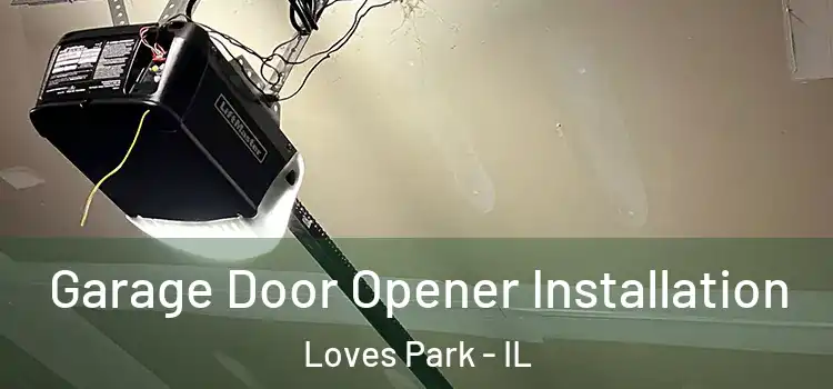  Garage Door Opener Installation Loves Park - IL