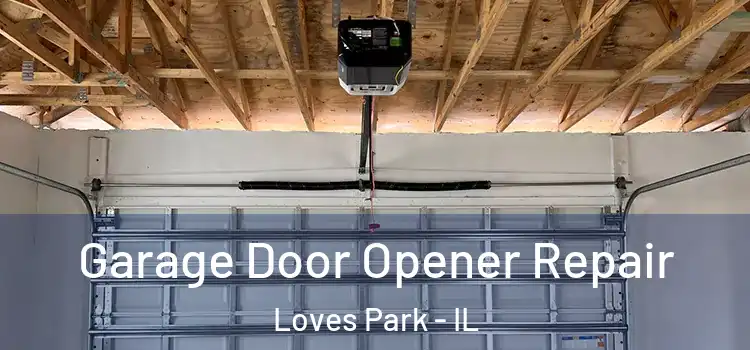  Garage Door Opener Repair Loves Park - IL