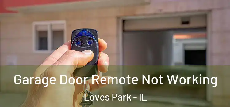  Garage Door Remote Not Working Loves Park - IL