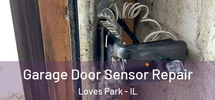 Garage Door Sensor Repair Loves Park - IL