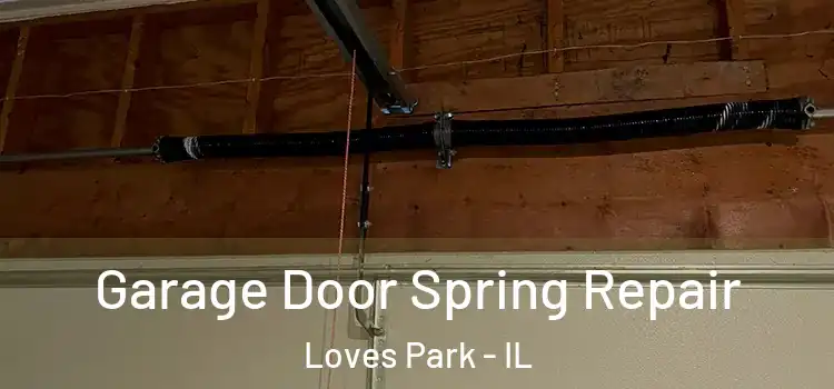  Garage Door Spring Repair Loves Park - IL