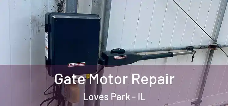  Gate Motor Repair Loves Park - IL