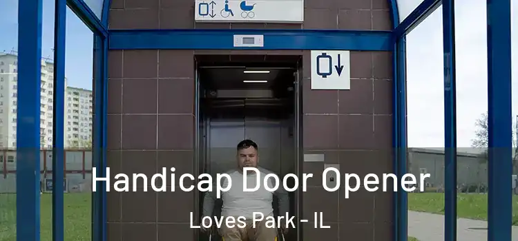 Handicap Door Opener Loves Park - IL
