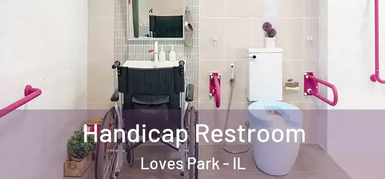 Handicap Restroom Loves Park - IL