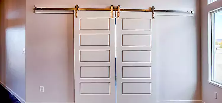 Glass Barn Door with Installation Hardware Kit Loves Park