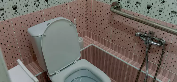 Meeting Diverse Needs With Accessible Restroom Solutions in Loves Park, IL