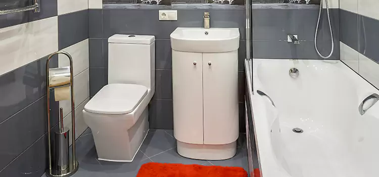 Hansgrohe Shaving Mirror Loves Park
