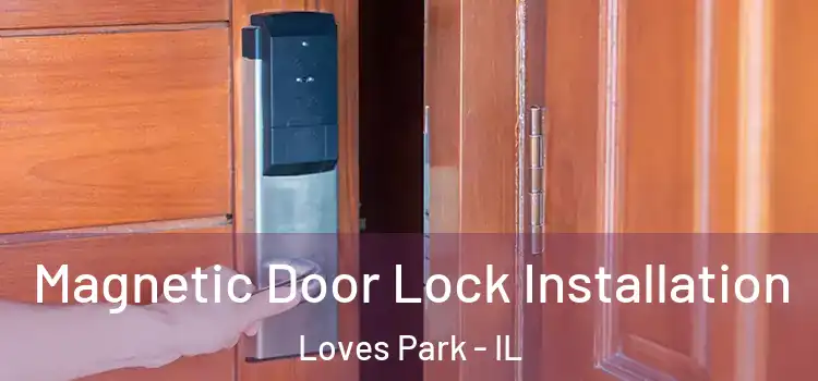  Magnetic Door Lock Installation Loves Park - IL