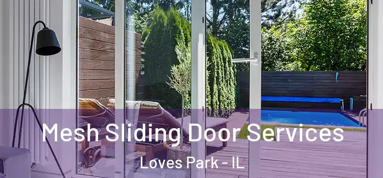 Mesh Sliding Door Services Loves Park - IL