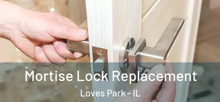  Mortise Lock Replacement Loves Park - IL