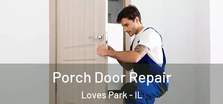 Porch Door Repair Loves Park - IL