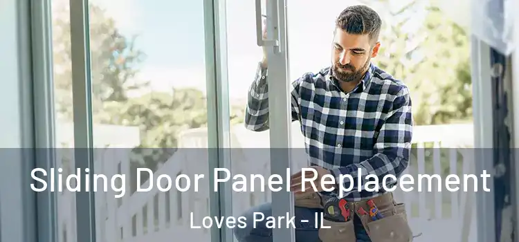  Sliding Door Panel Replacement Loves Park - IL
