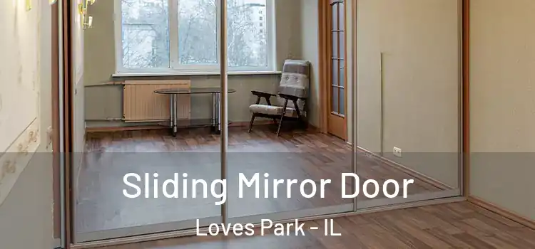  Sliding Mirror Door Loves Park - IL