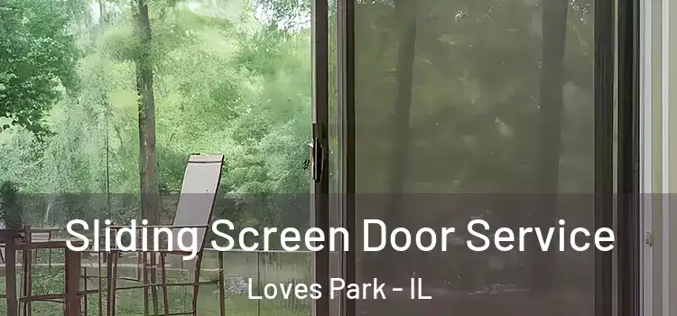  Sliding Screen Door Service Loves Park - IL
