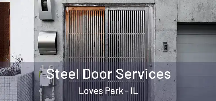 Steel Door Services Loves Park - IL